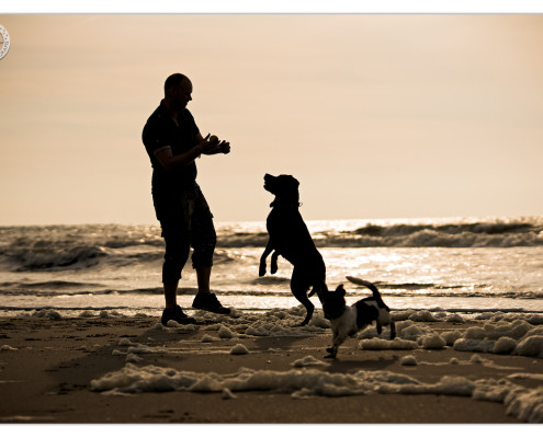 Strandspel door Mogi Hondenfotografie